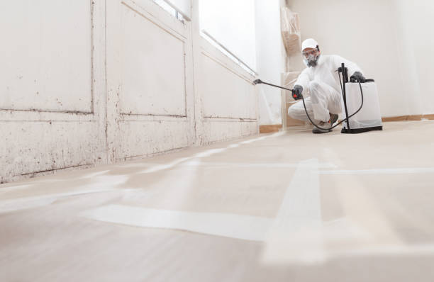 24/7 Emergency Black Mold Remediation experts in Sharon, MA