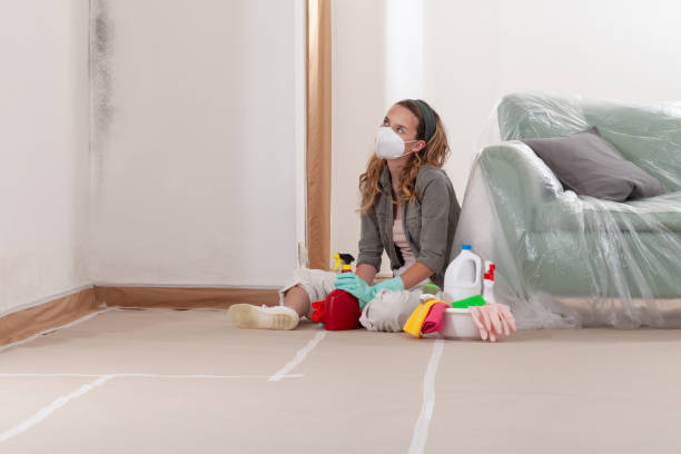 Reliable Black Mold Remediation contractor in Sharon, MA by Car Mold Remediation